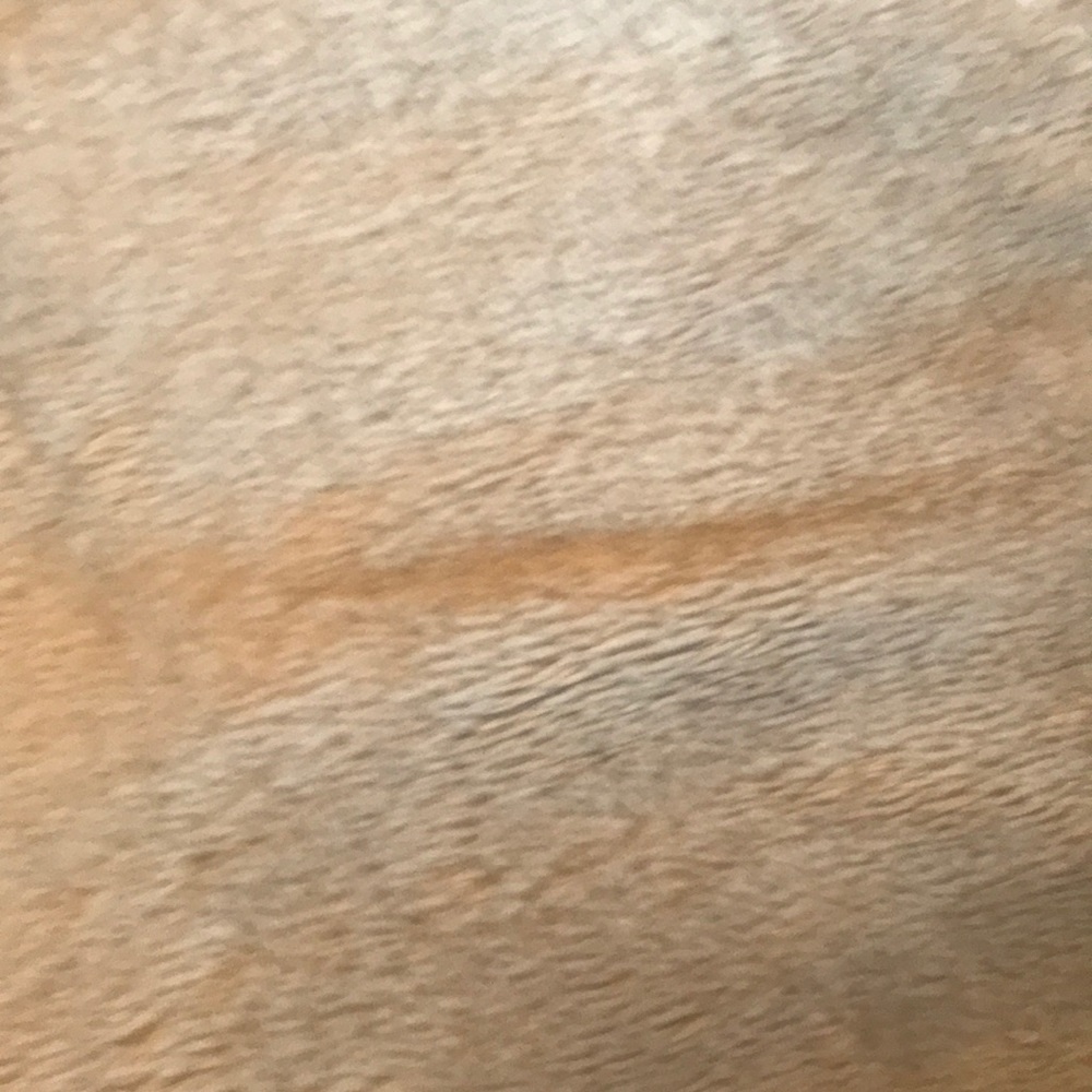 Meet your Posher, Goldy